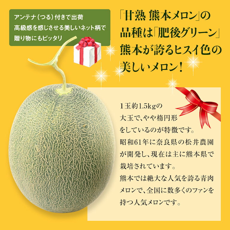 メロン生産量九州一位の熊本県で収穫された旬の青メロンを産地直送でお届けします。