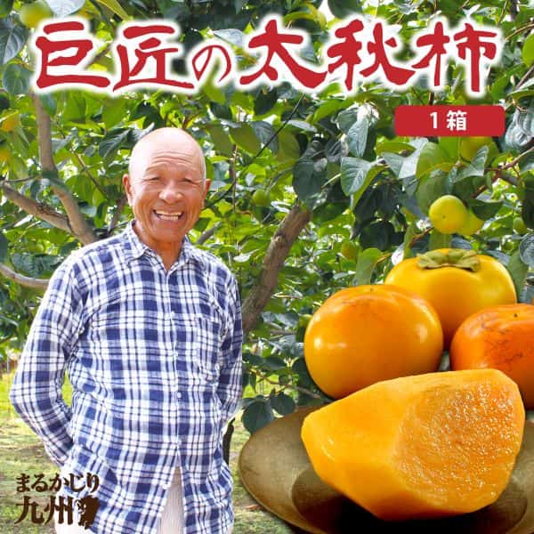 福岡県産「巨匠の太秋柿」（約2kg）