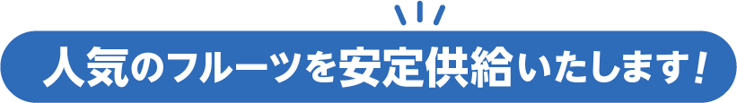 人気のフルーツを安定供給いたします！