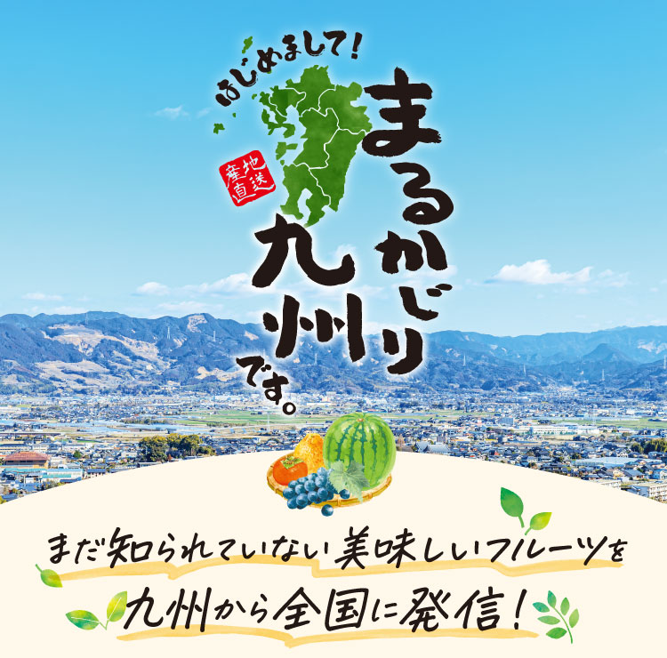 はじめまして、まるかじり九州です