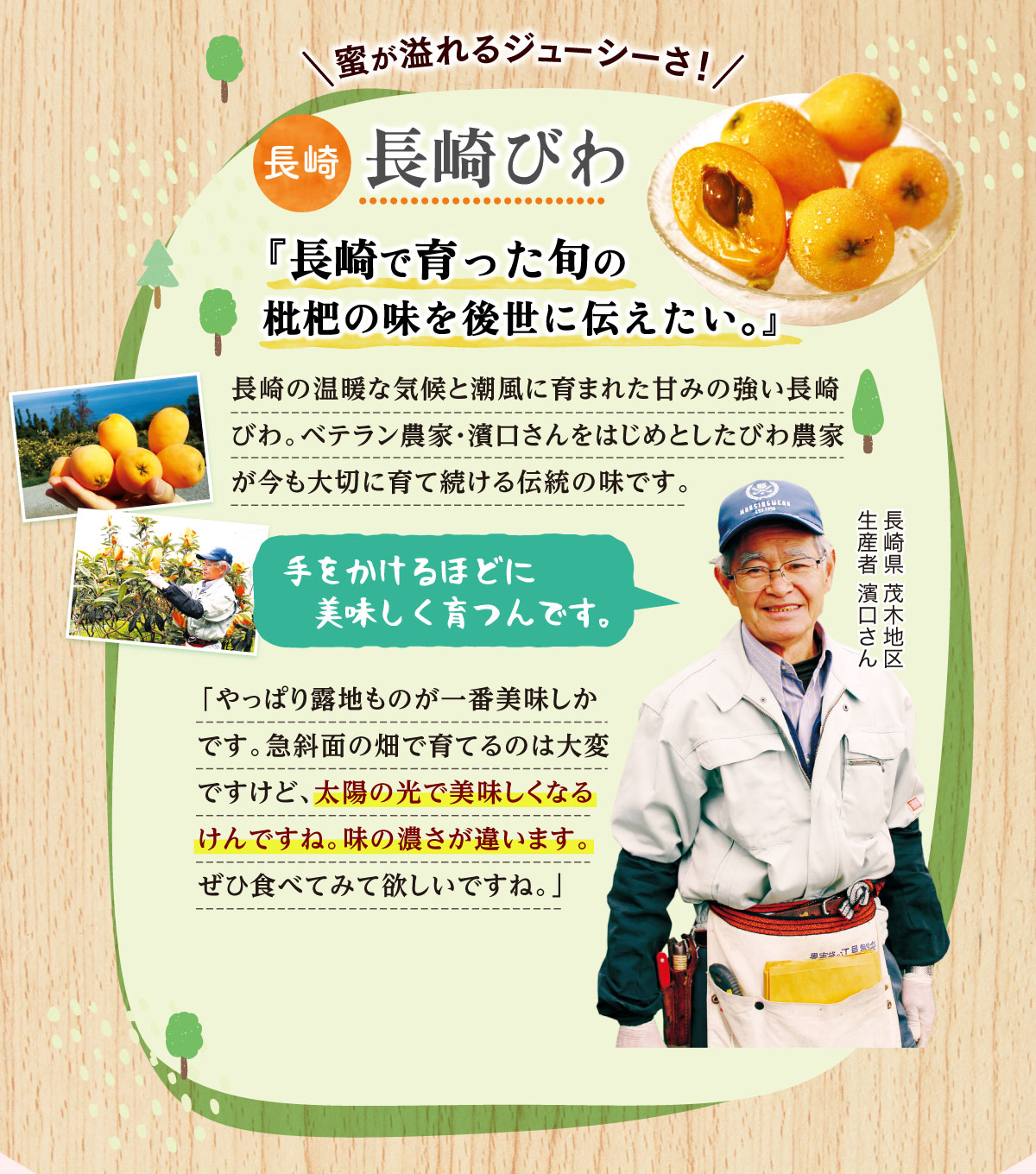 蜜が溢れるジューシーさ！長崎びわ