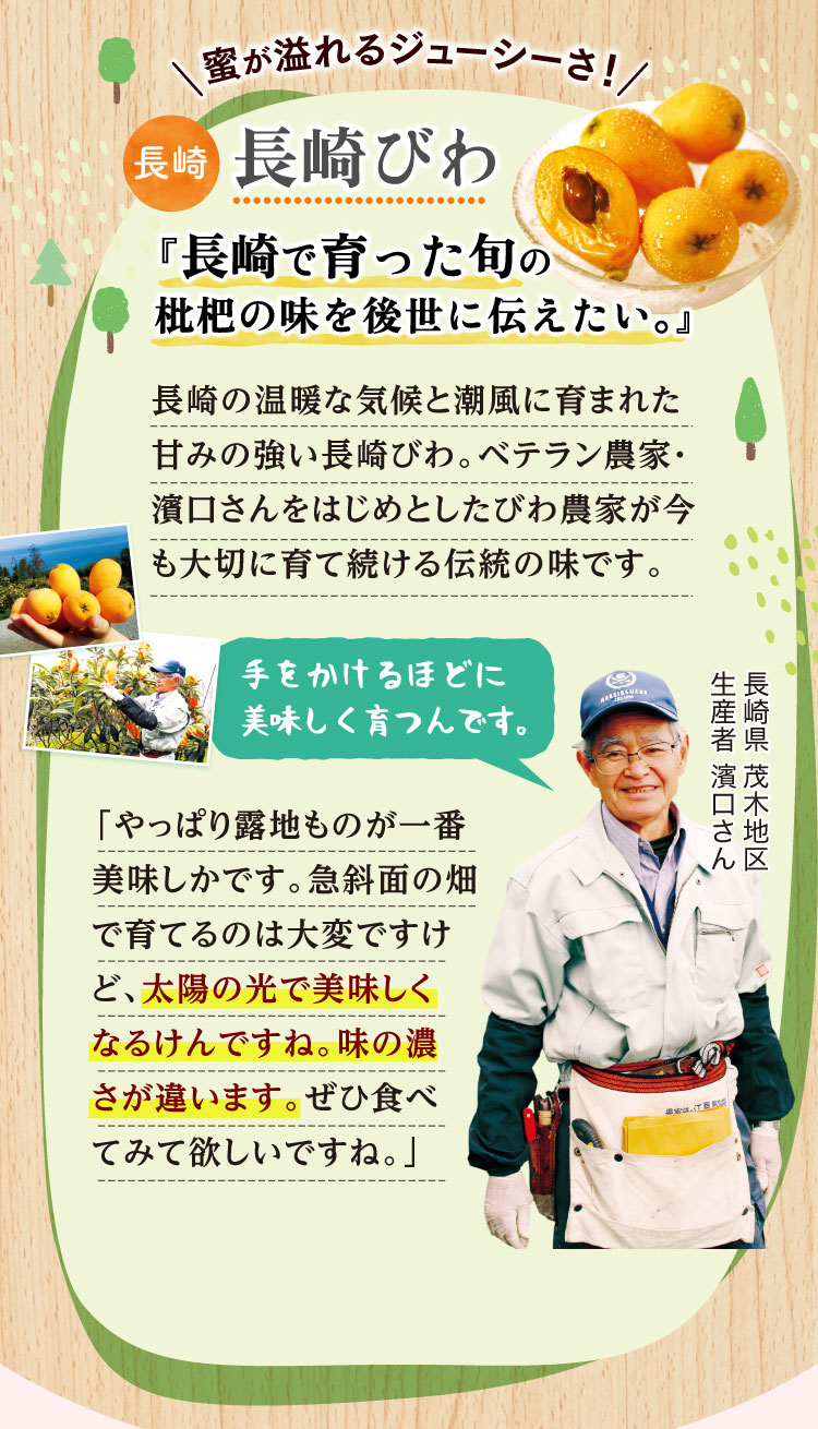 蜜が溢れるジューシーさ！長崎びわ