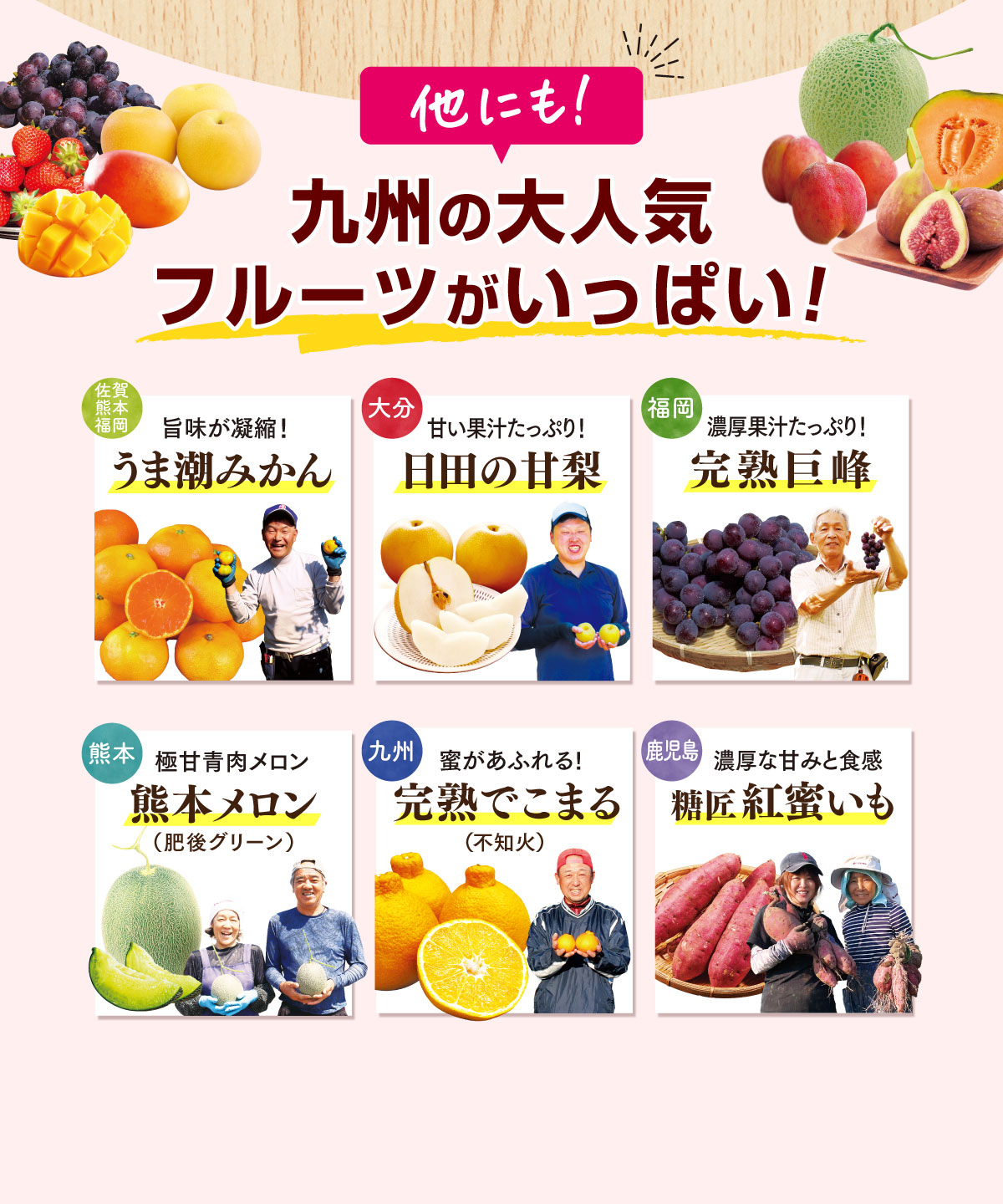 他にも！九州の大人気フルーツがいっぱい