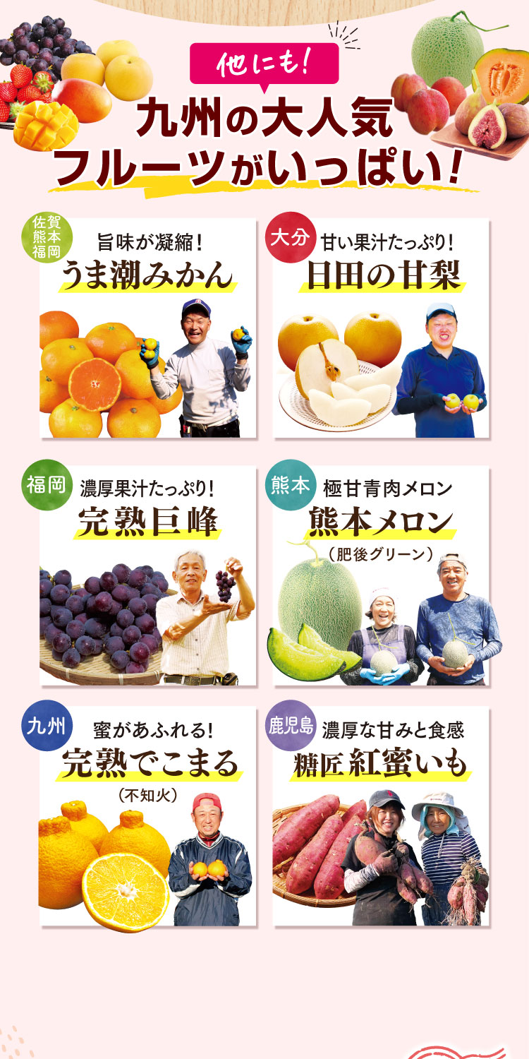他にも！九州の大人気フルーツがいっぱい