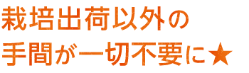 栽培出荷以外の手間が一切不要に★