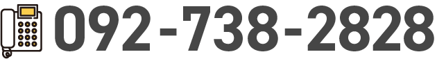 0120-738-2828