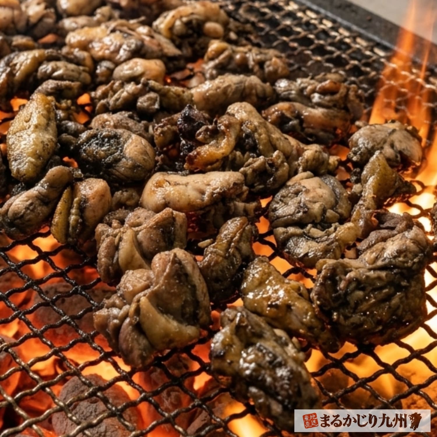 高温の炭火で焼き上げる国産赤鶏の炭火焼き