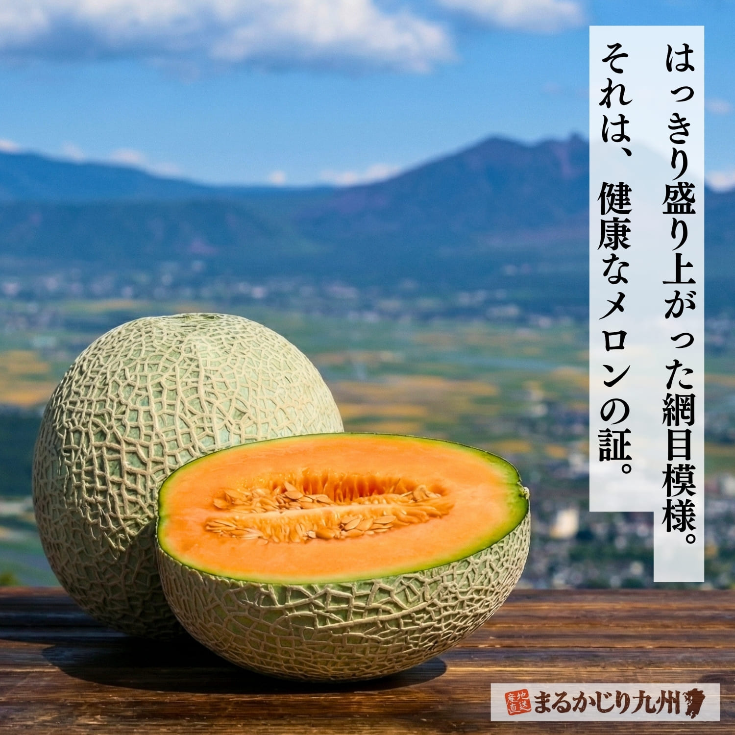 果汁たっぷり、とろけるような食感の最高級メロンをお取り寄せで！