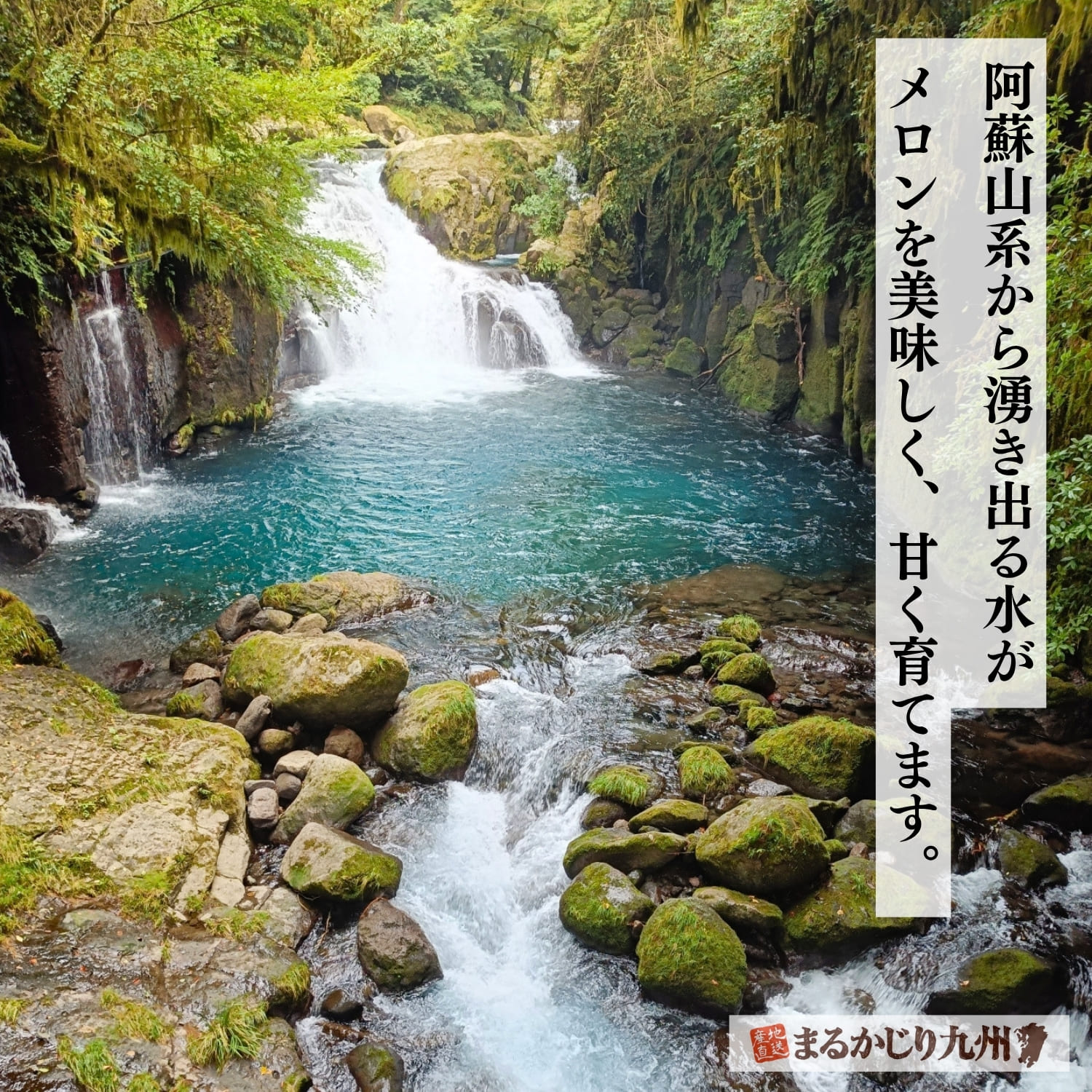 豊かな水量を誇る、熊本屈指の観光名所・菊池渓谷