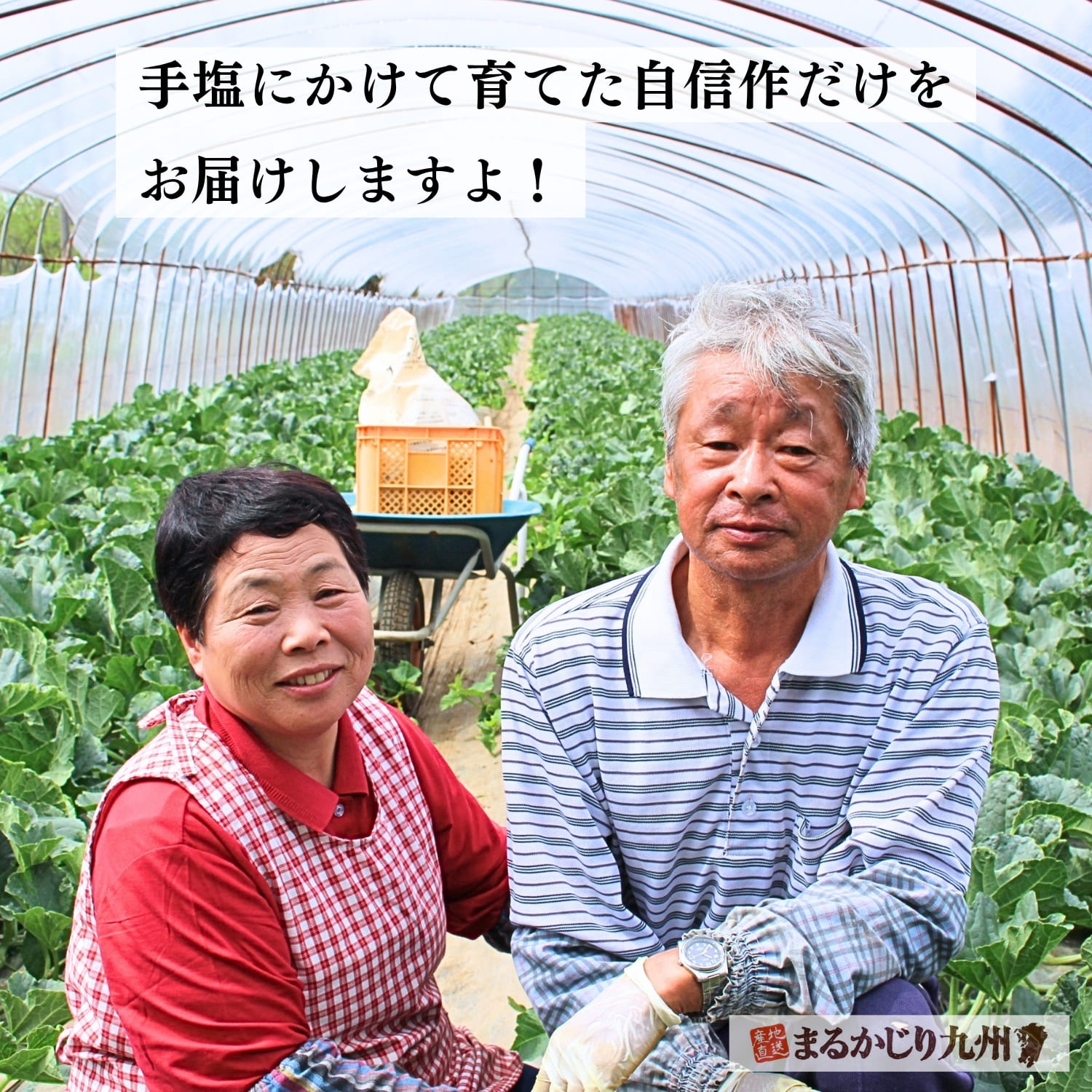 大切にメロンを育てる熊本のメロン農家・徳永さんご夫婦