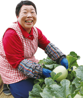 熊本のベテラン農家が育てた甘い美味しさ赤メロン 九州フルーツの通販 まるかじり九州 産地直送 まるかじり九州 熊本のベテラン農家が育てた甘い美味しさ赤メロン 九州フルーツの通販 まるかじり九州 産地直送 まるかじり九州