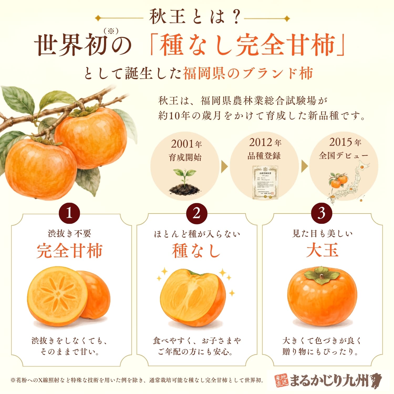 秋王の特徴をまとめたインフォグラフィック