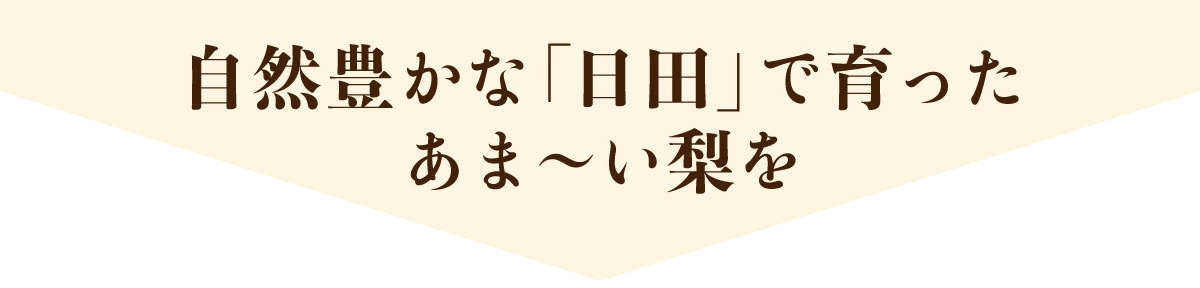 日田の産直フルーツは梨だけでなく、みかんやカボスなども有名です。