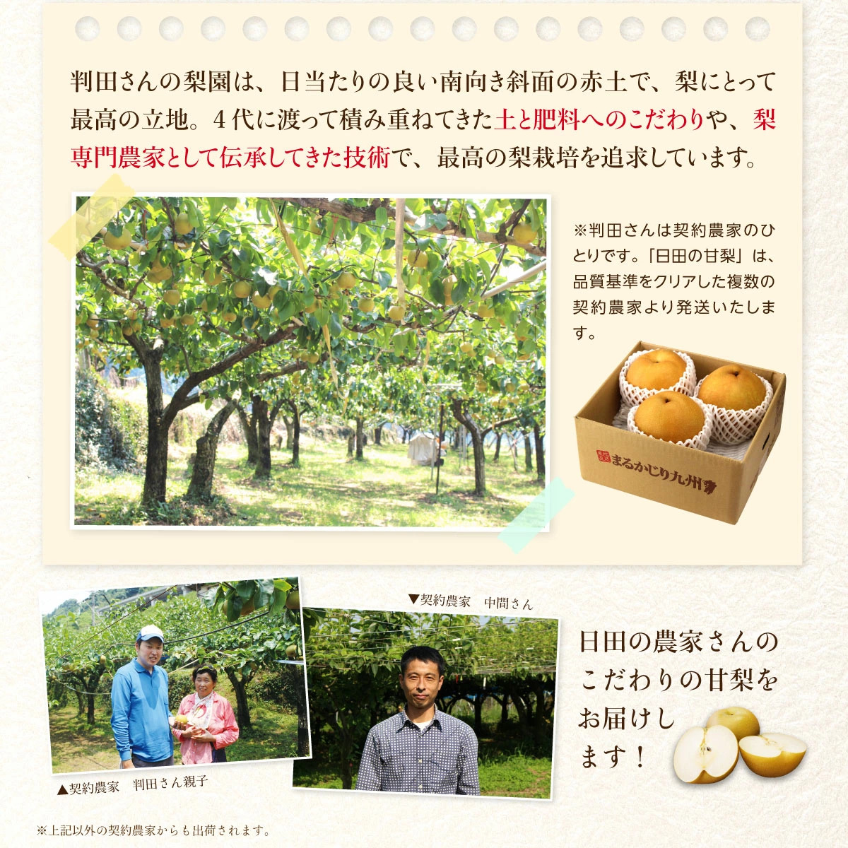 日田の農家さんのこだわりの甘梨をお届けします!