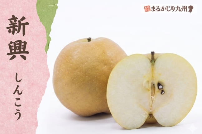 日田の旬の梨：新興