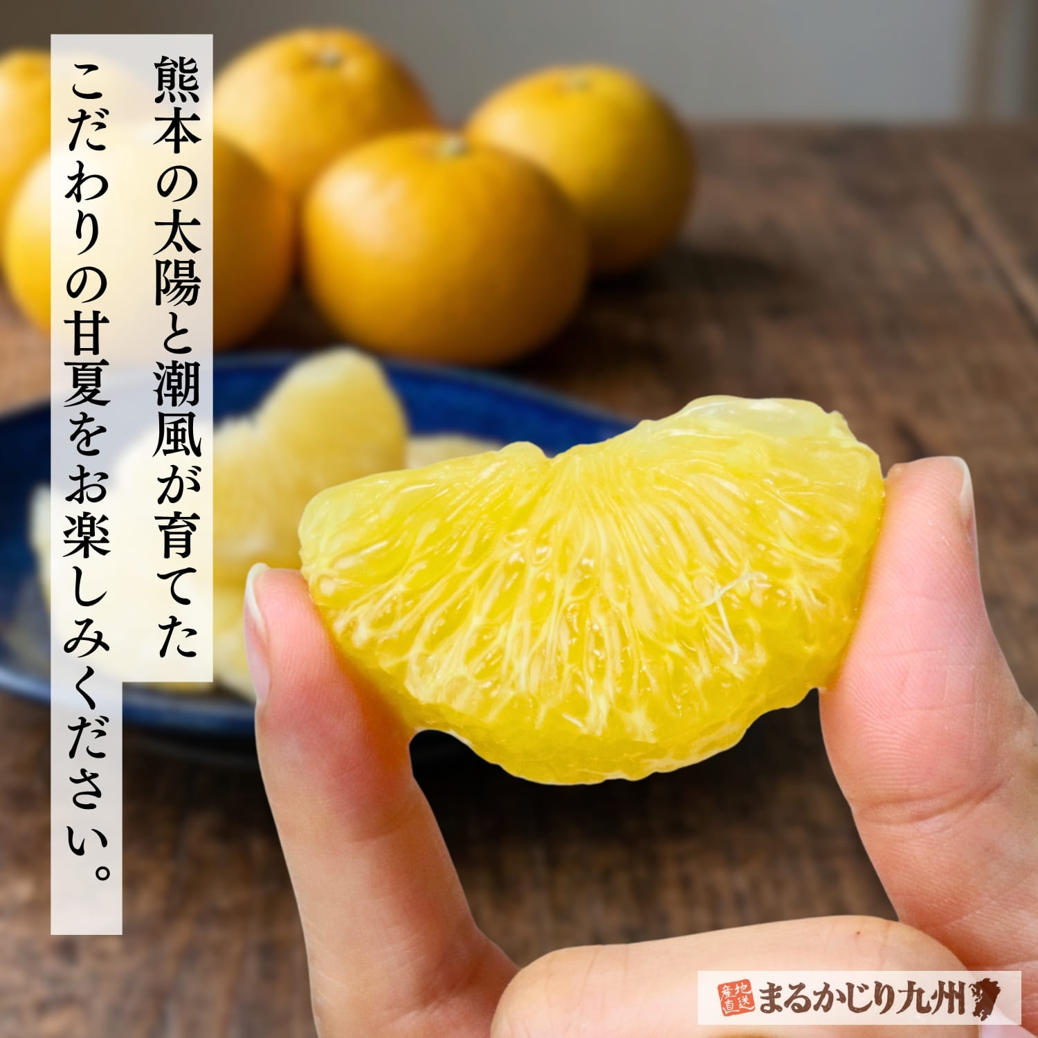 熊本県産甘夏を産地直送でお届け