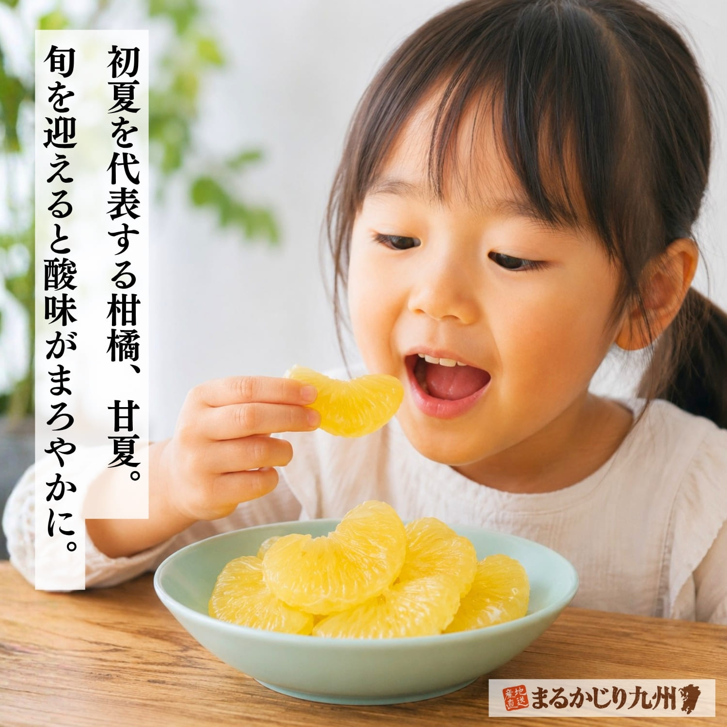 食卓で楽しむ熊本県産甘夏