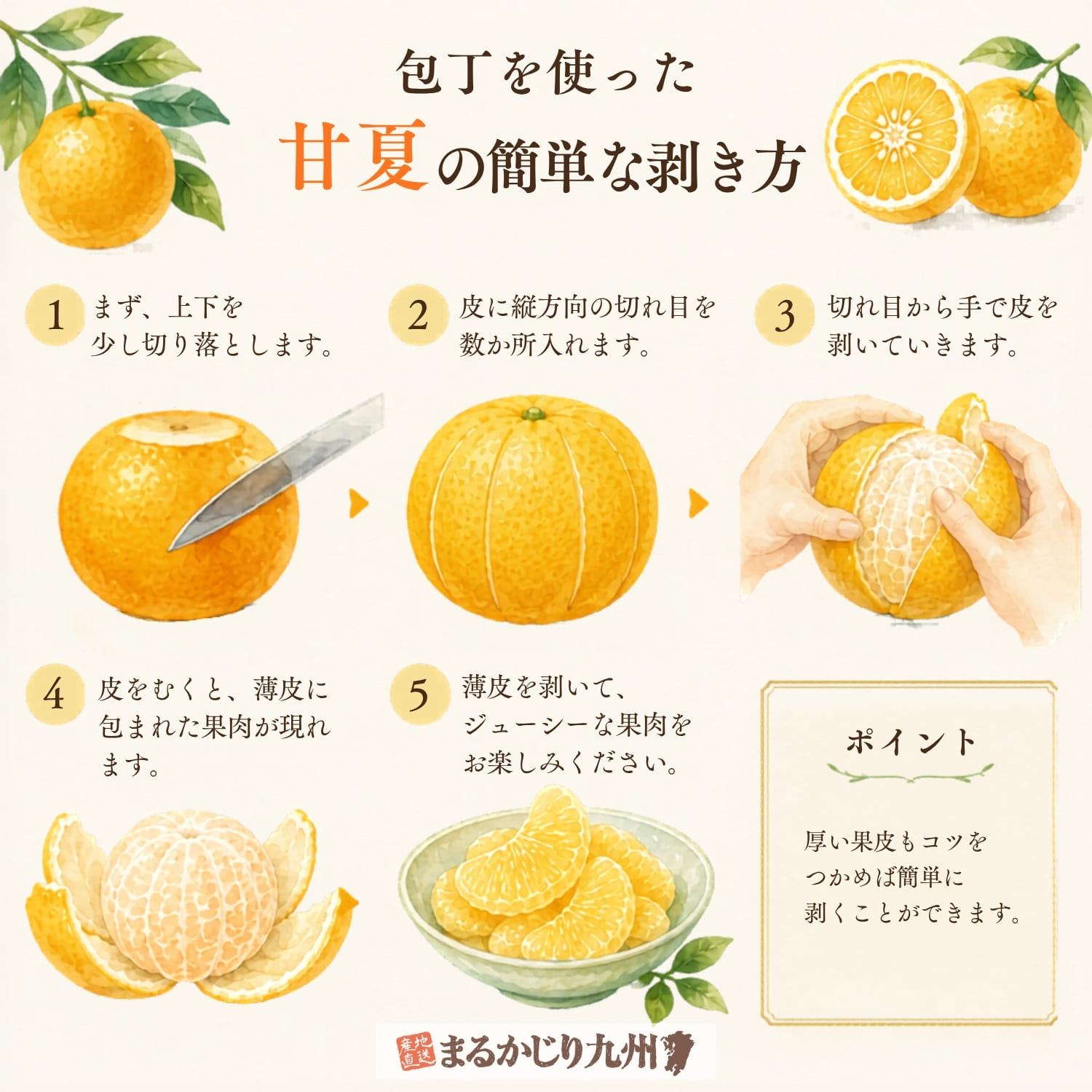 甘夏の簡単な剥き方