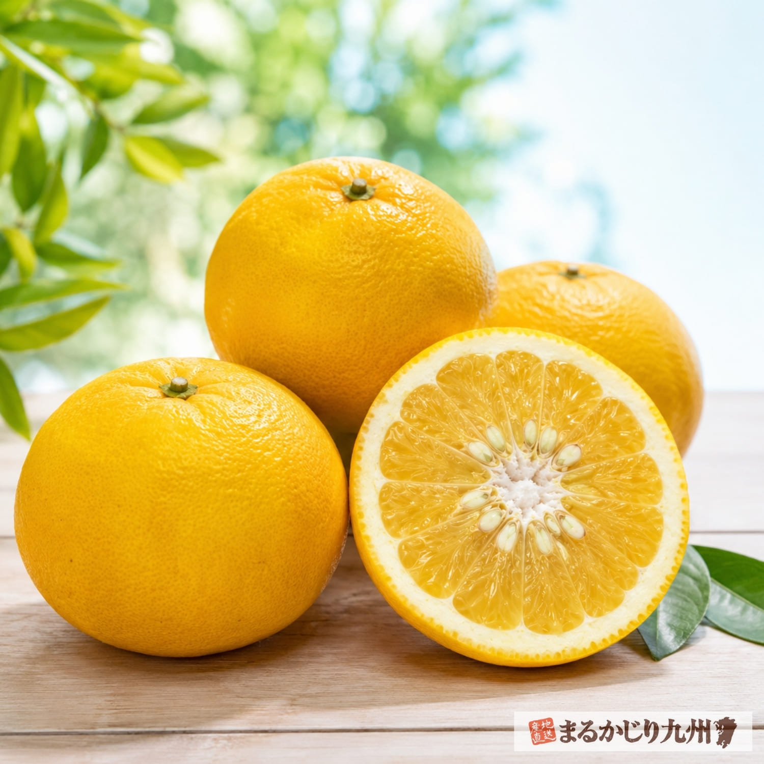 熊本県産甘夏の果実とみずみずしい断面