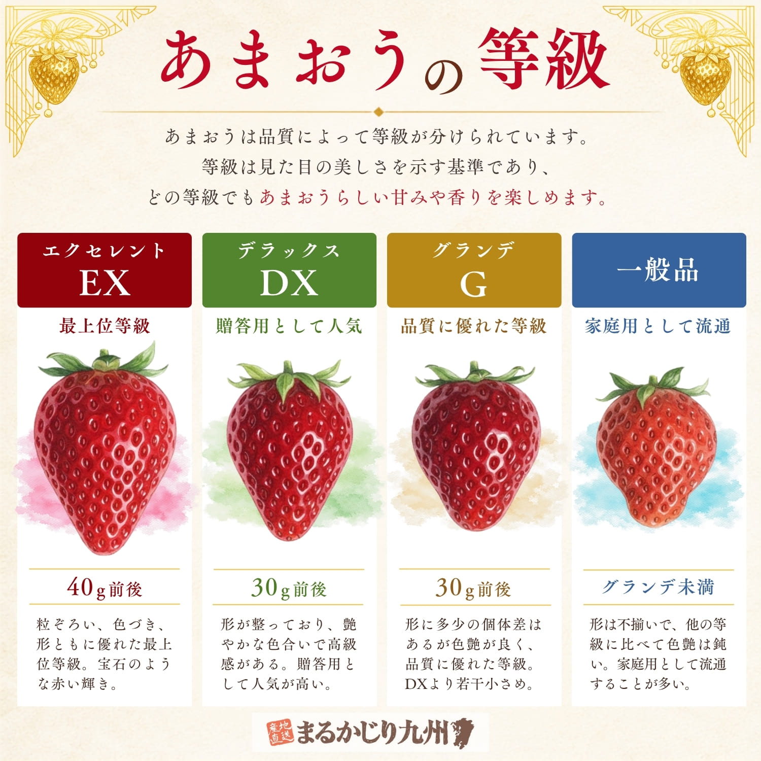 あまおうイチゴの等級を解説したインフォグラフィック