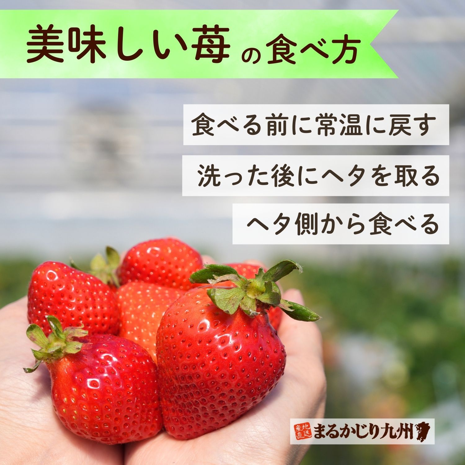 意外と知らない？あまおうの美味しい食べ方。