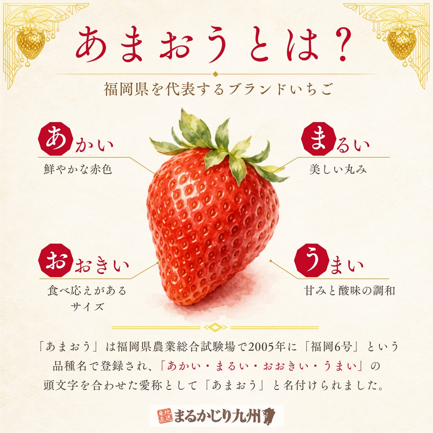 博多あまおうの名前の由来を紹介したインフォグラフィック