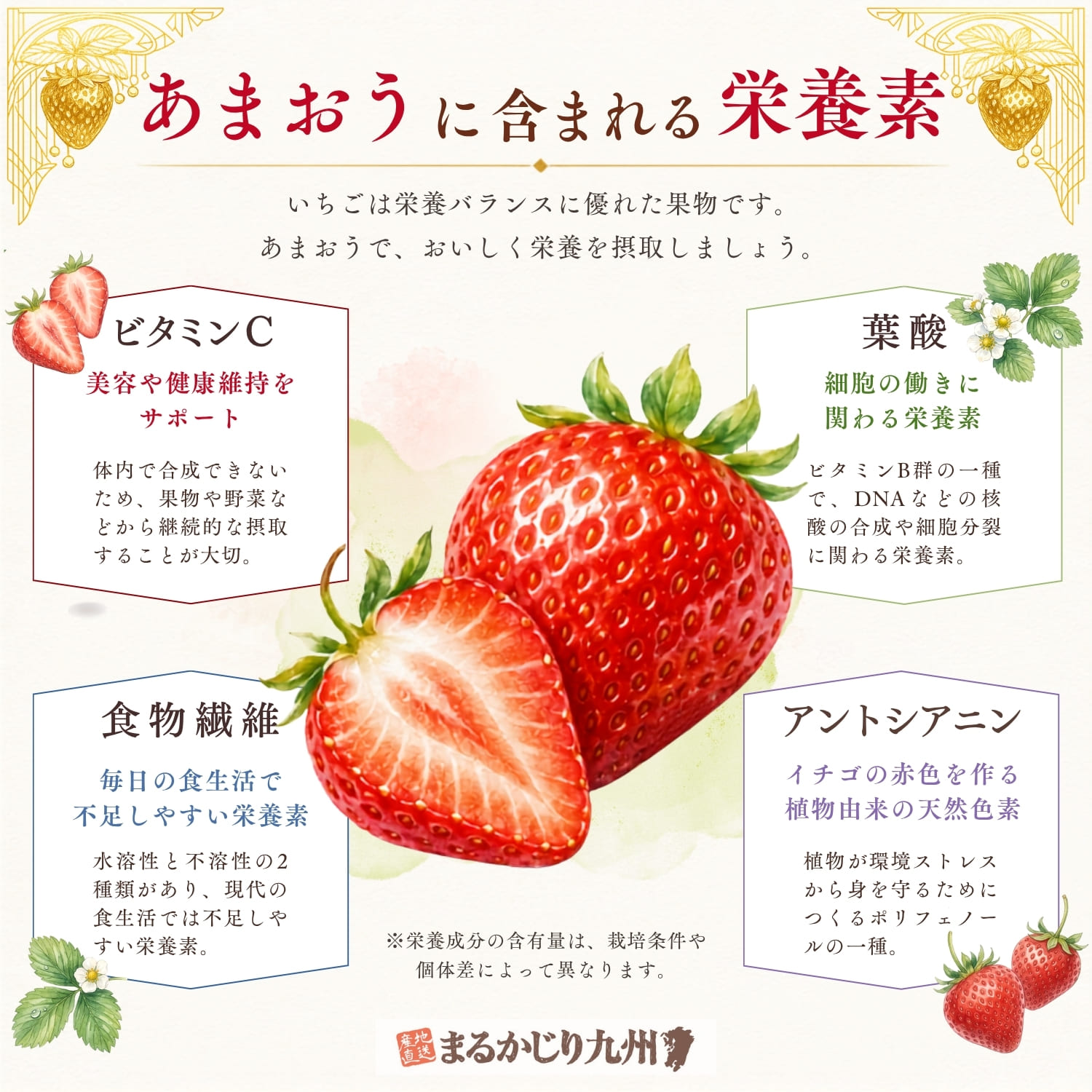 イチゴに含まれる栄養素を紹介したインフォグラフィック