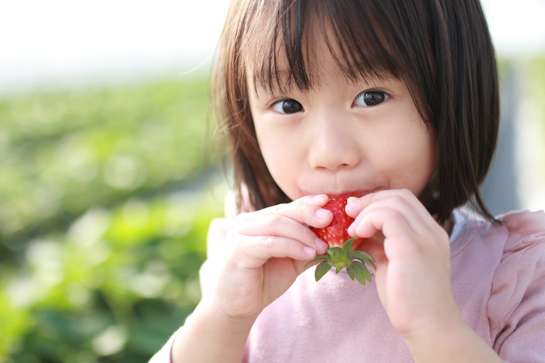 小さなお子様からご年配の方まで人気のフルーツいちご。一粒食べればその美味しさに笑顔があふれます。