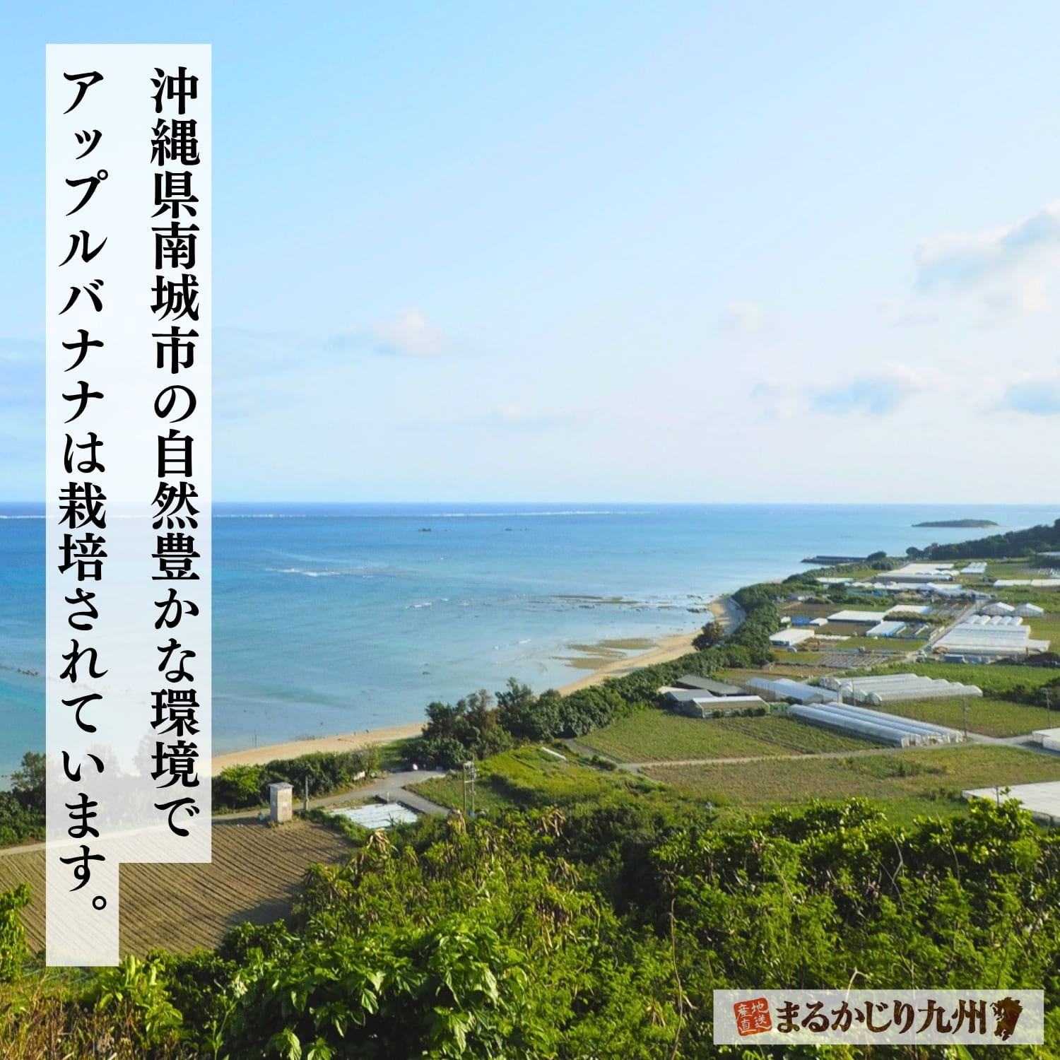 自然豊かな沖縄県南城市