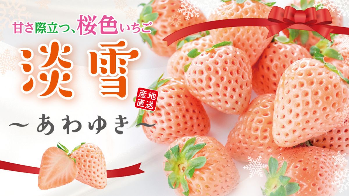 佐賀県産「淡雪」