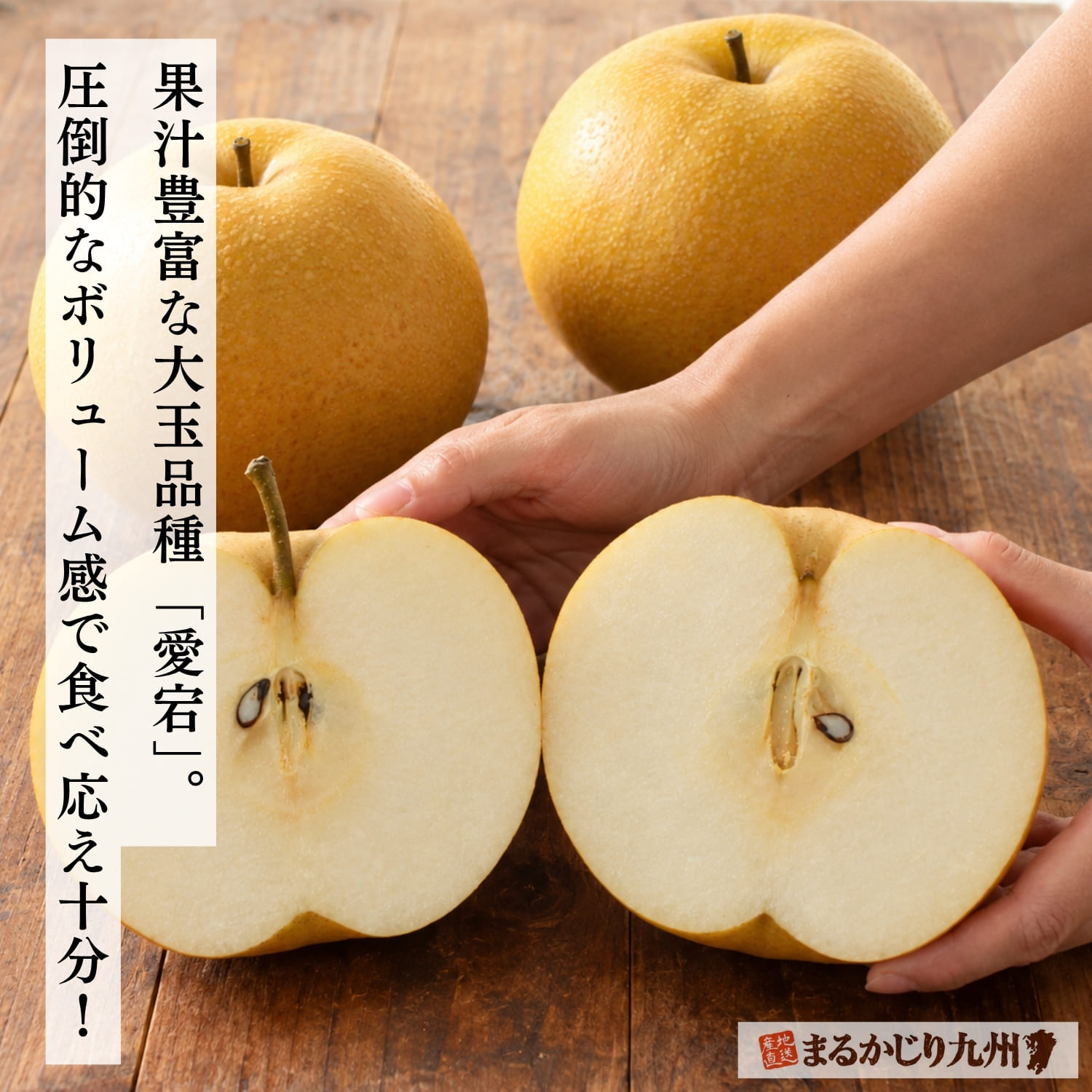 手に持った大分県産の大玉梨「愛宕」。ずっしりとした大きさが特徴