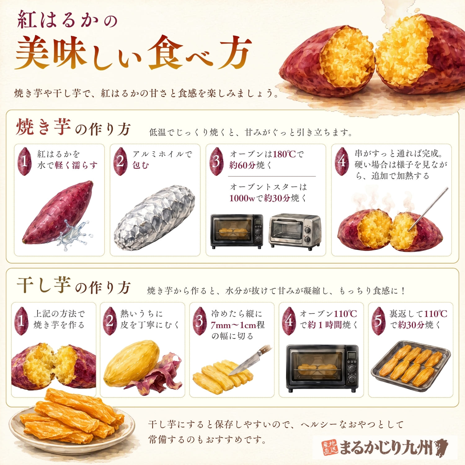 紅はるかで焼き芋と干し芋を作る方法を紹介したインフォグラフィック