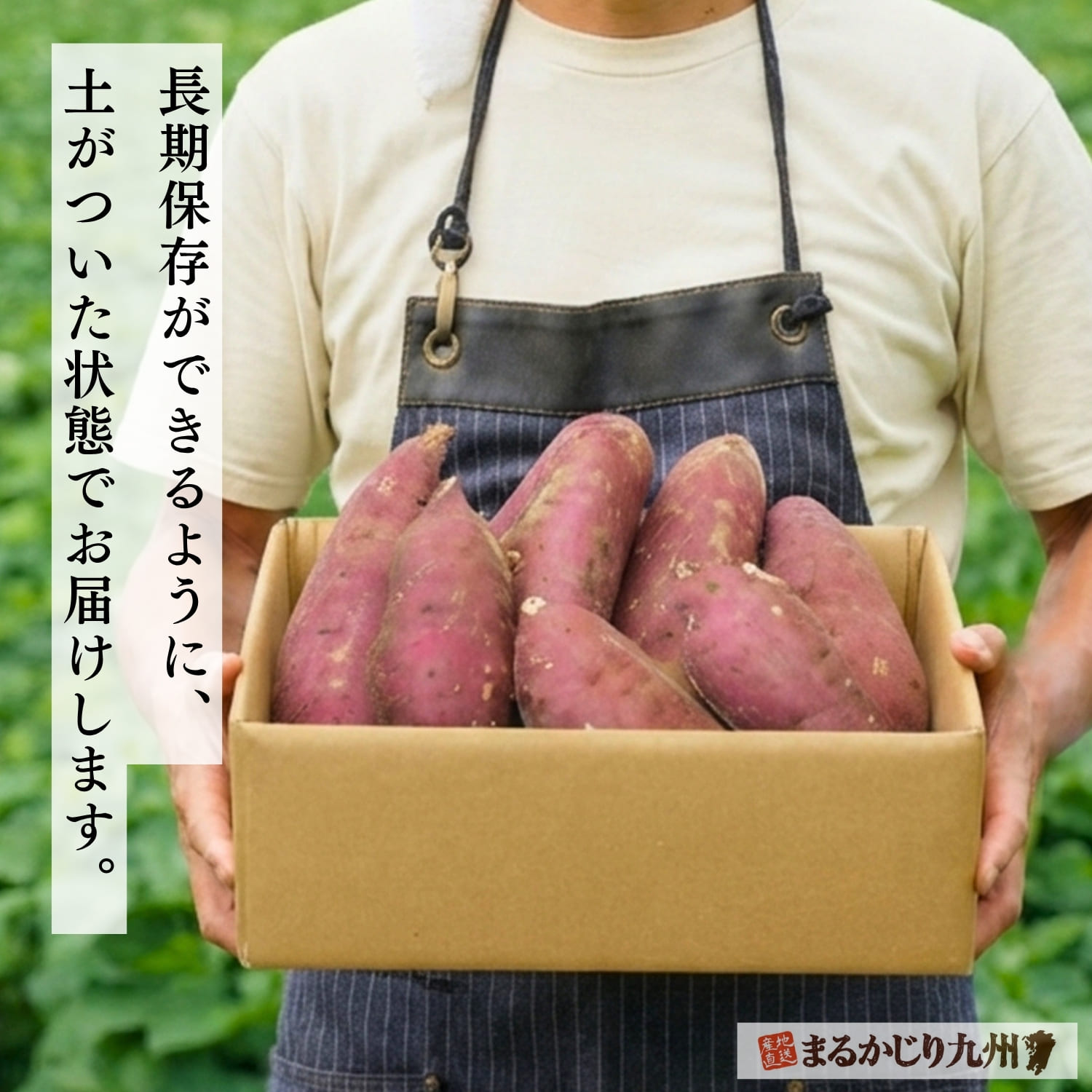 長期保存が可能な土付きの状態でお届けします
