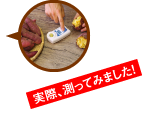 実際!測ってみました!