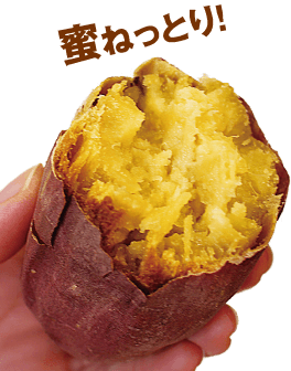 鹿児島県産 焼き芋の王様 紅はるか 1箱 約2kg 産地直送 まるかじり九州 鹿児島県産 焼き芋の王様 紅はるか 1箱 約2kg 産地直送 まるかじり九州