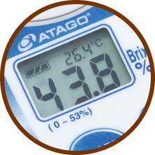 フルーツよりあま〜い!糖度43度超!!