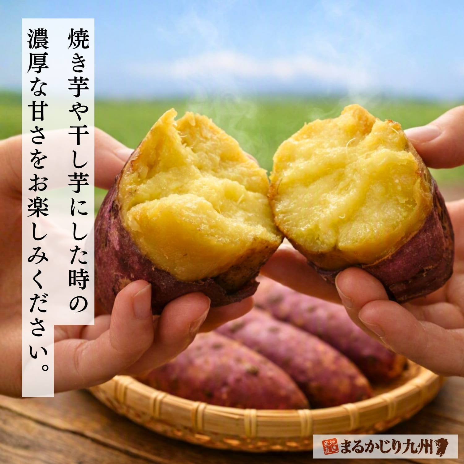 鹿児島県産紅はるか 糖匠紅蜜いもを産地直送でお届け