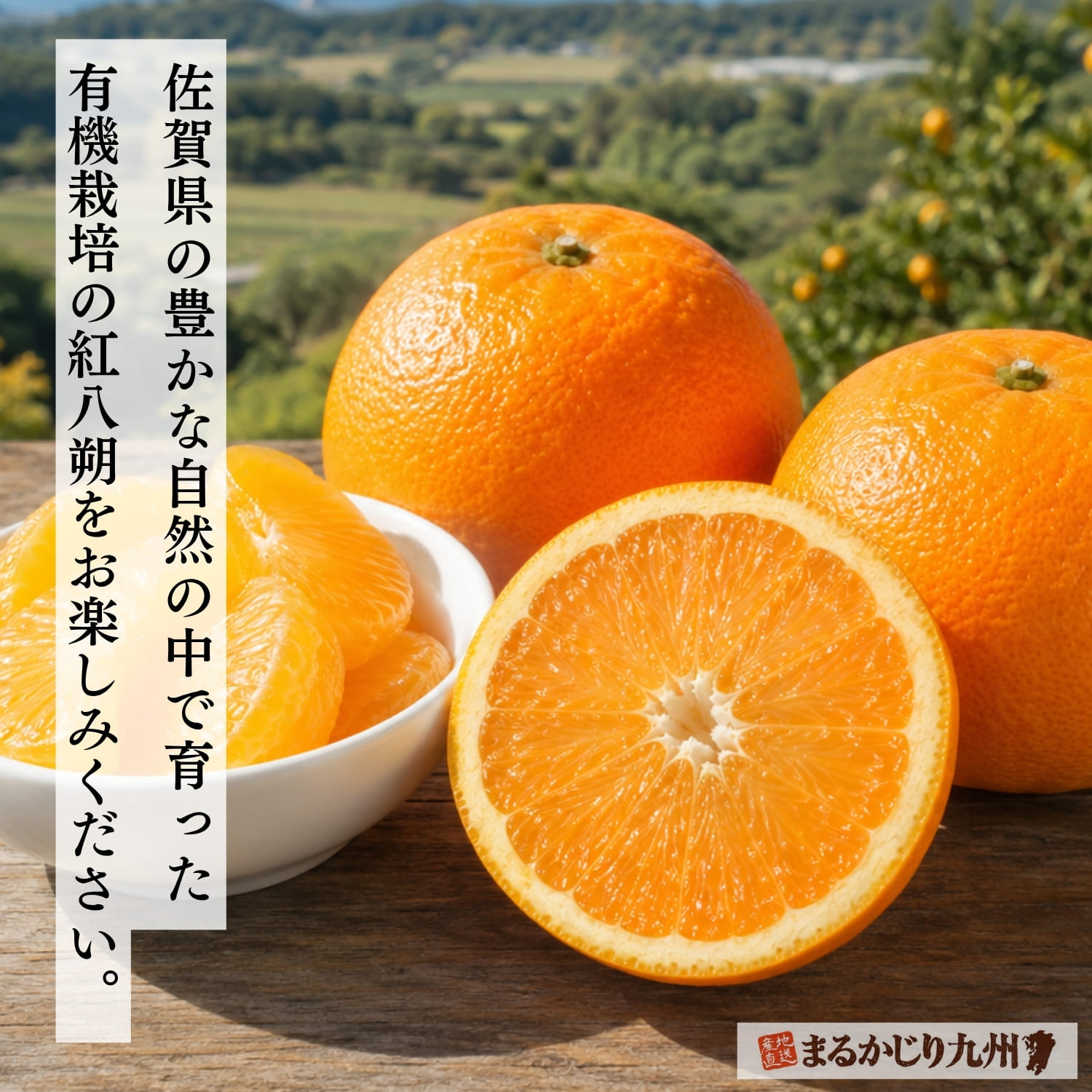 佐賀県産完熟紅八朔を産地直送でお届け
