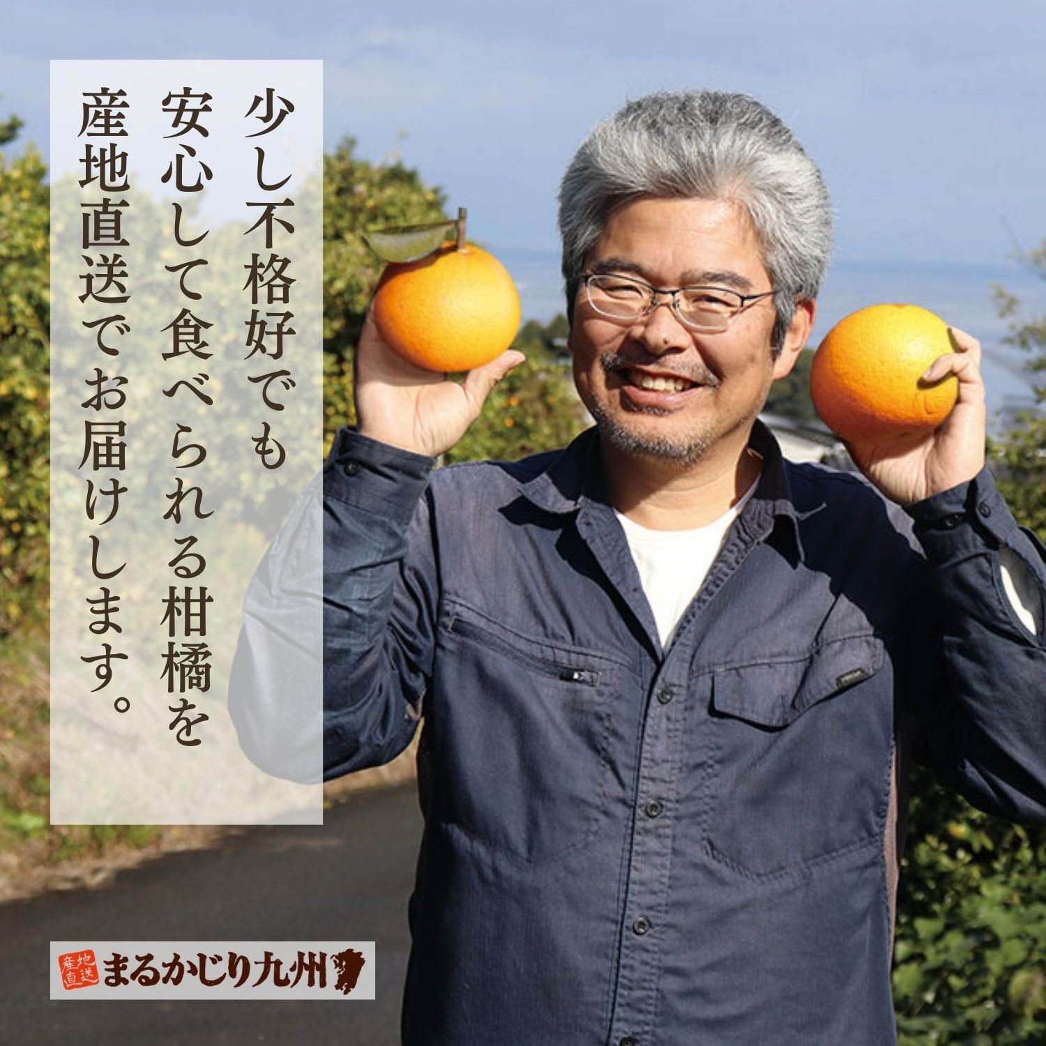 少し不格好でも安心して食べられる柑橘を産地直送でお届けします。