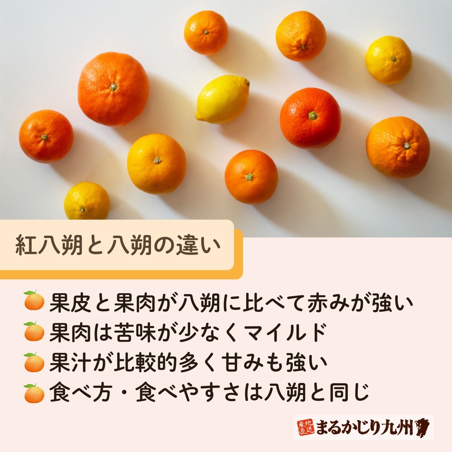 「紅八朔」と「八朔」の違い