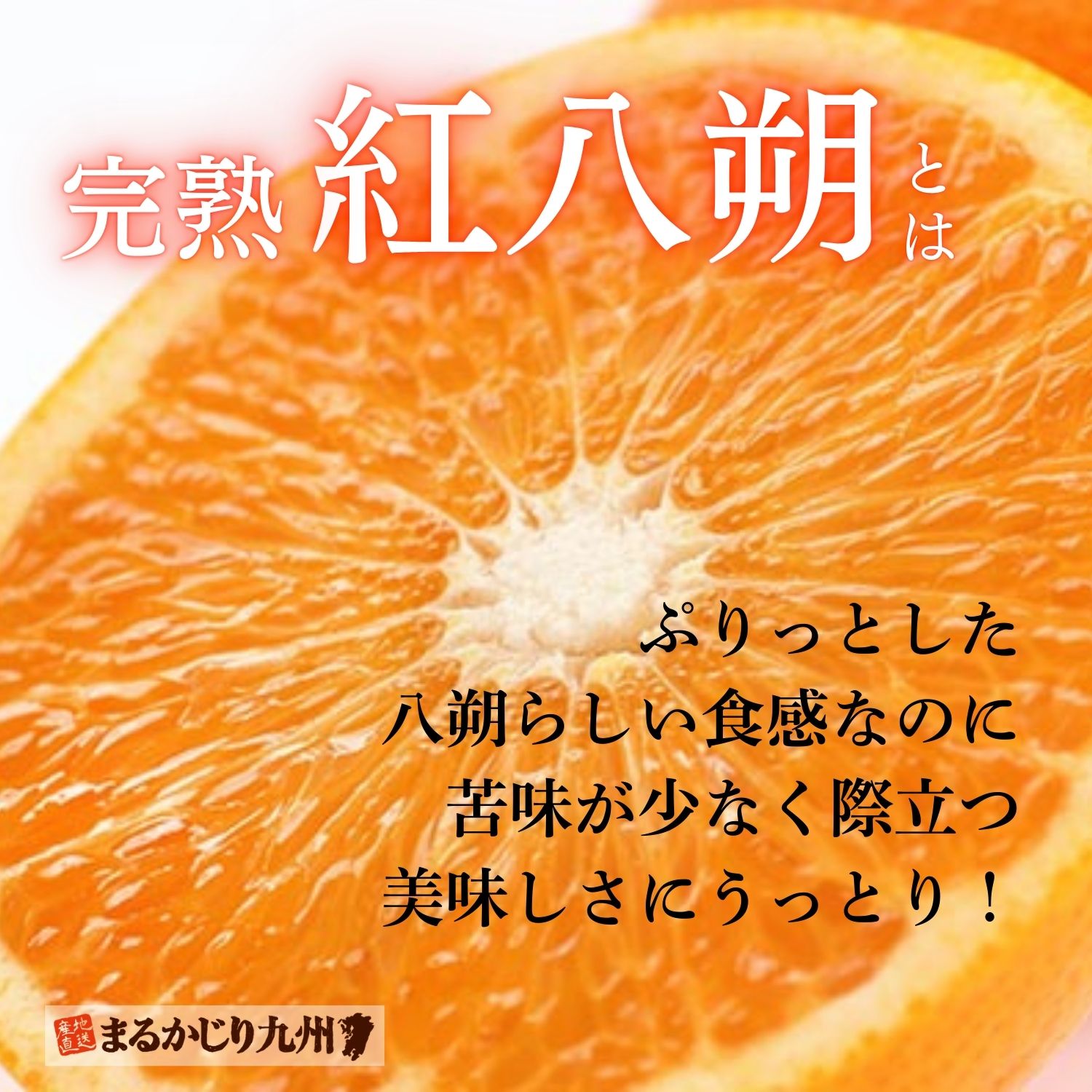無農薬で育てられたオーガニックな紅八朔を産地直送通販で