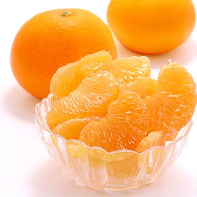 安心安全にこだわったオーガニック栽培のはっさくを、佐賀県を代表する柑橘農園・鹿島みかん村からお届けします。