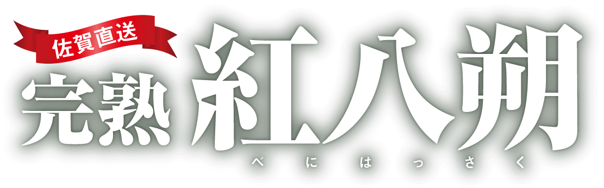 佐賀直送 完熟紅八朔