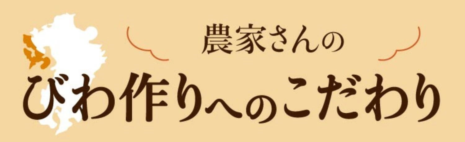 長崎びわづくりのこだわり