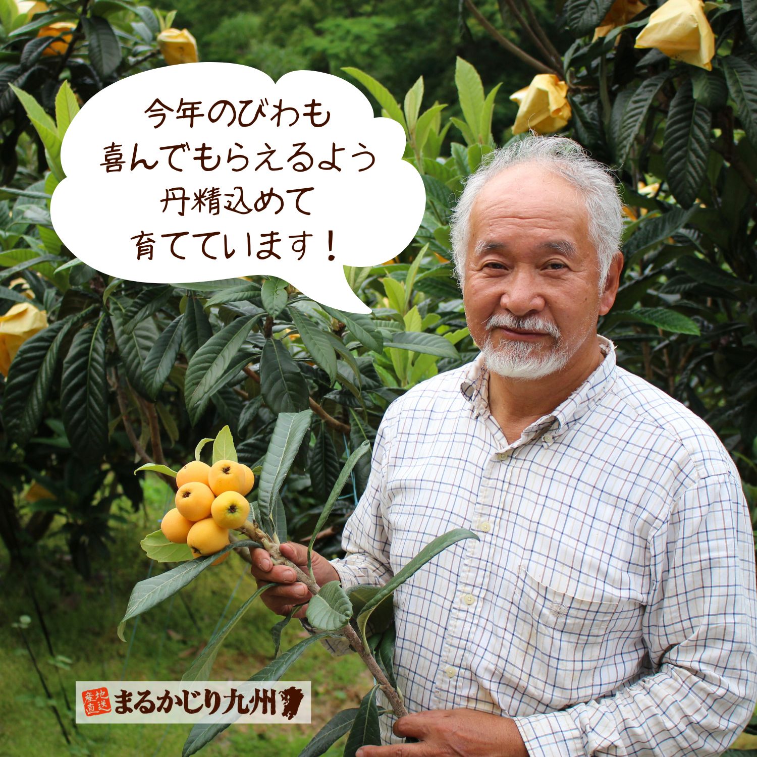 ベテランびわ農家　峰さん