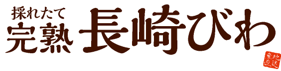 採れたて完熟 長崎びわ