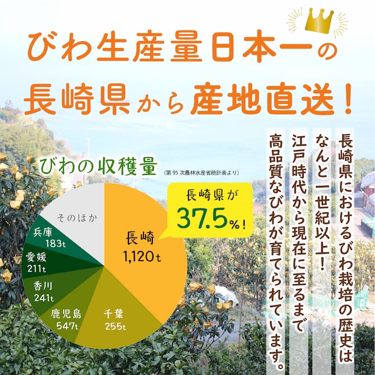 びわ生産量日本一の長崎県から産地直送！