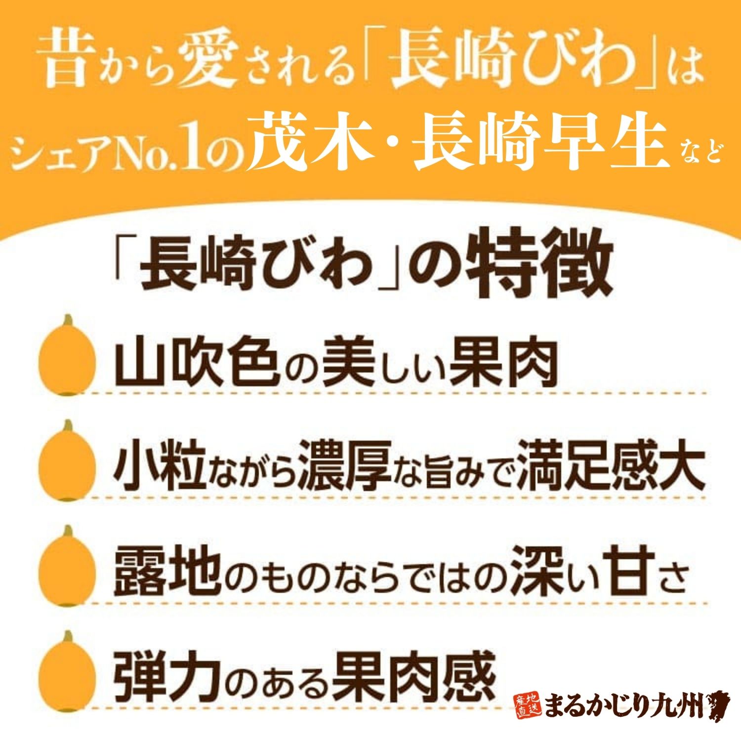 長崎びわの特徴