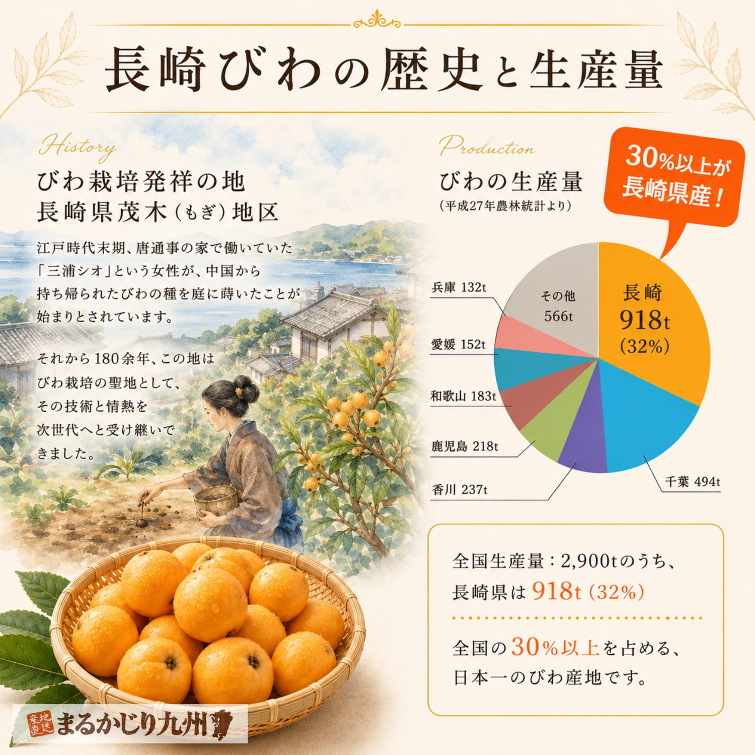 長崎びわの歴史と生産量を紹介したインフォグラフィック。茂木地区のびわ栽培の歴史と全国トップクラスの生産量を掲載