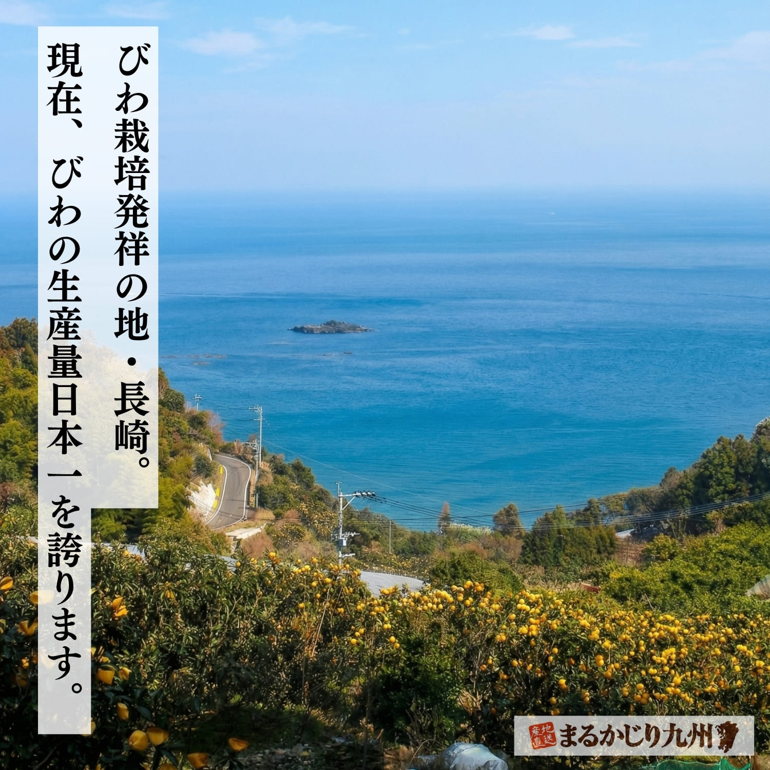 びわ生産量日本一の長崎県から産地直送！